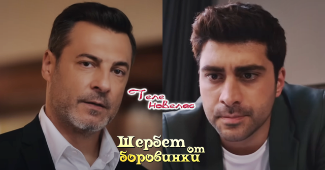 Теленовелас Новини: Утре в "Шербет от боровинки": Фатих проверява записите от камерите и вижда; На вечерята Йомер се появява с (29 май)